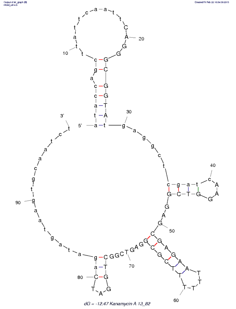 » Kanamycin A (#13_82)